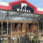 Sanierungsplan für Waibel Floristik steht