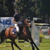 Pferdesport in vielen Facetten