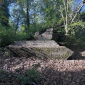 Dieser Panzer überlebte jeden Angriff