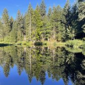 Wilde Natur