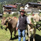 Alpabtrieb bringt Kühe zurück ins Tal