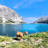 Ein Stück Paradies