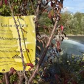 Ill-Unglück: Nach drei Toten warnt nun ein privates Schild vor der Wasserwalze. »a3