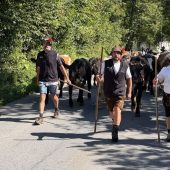 Die ersten sind im Tal