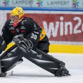 Pioneers empfangen ­ungeschlagenen Milano HC