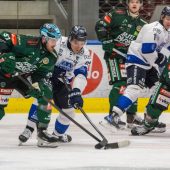Tigers finden zurück in die Erfolgsspur