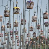 Bilder des Tages