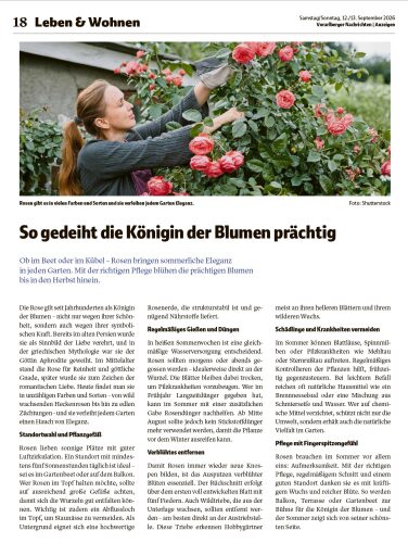 Ausgabe 12.09.2026, Seite 18