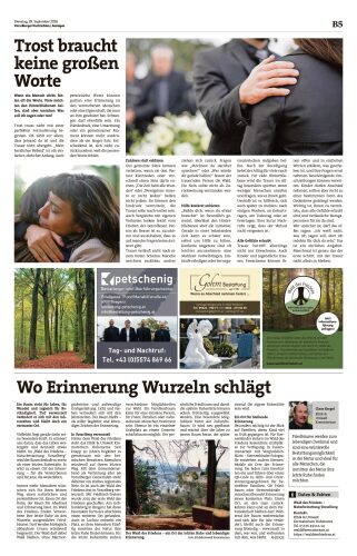 Ausgabe 1790717722, Seite 11
