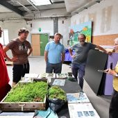 Workshop zeigt Gründächer in der Praxis