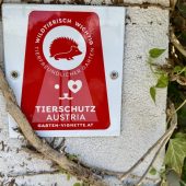 „Igel-Vignette“ für  den Garten