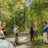 So verändert der Klimawandel den Wald