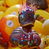 9. Bludescher Entenrennen – sie schwimmen wieder