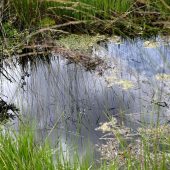 Naturschutzgesetz stößt auf rechtliche Bedenken