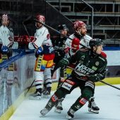 Die Tigers hatten nichts zu bestellen
