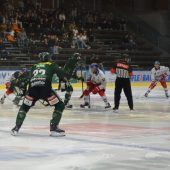 Vier Punkte für den HC Tigers