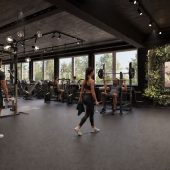 „Fitness ist eine coole Branche“