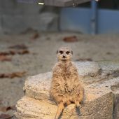 Warm auch im Herbst