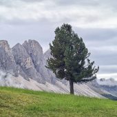 Odles – Nadeln der Dolomiten