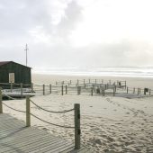 Ozean und sonst nichts