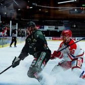HC Tigers hatte erneut das Nachsehen