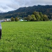 Zankapfel Abfallzentrum