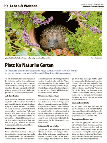 Ausgabe 03.10.2026, Seite 20