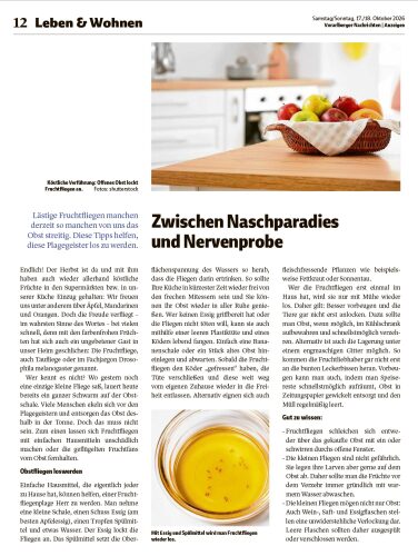 Ausgabe 17.10.2026, Seite 12