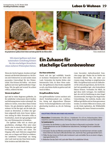 Ausgabe 24.10.2026, Seite 19