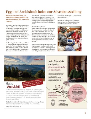 Ausgabe 30.10.2026, Seite 3